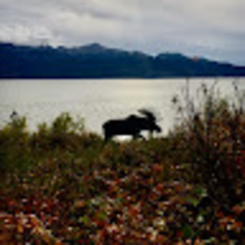 Meet your Posher, Deb